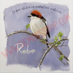 CD Robe – Lo que aletea en nuestras cabezas
