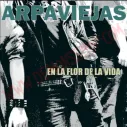 Vinilo LP Arpaviejas - En la flor de la vida