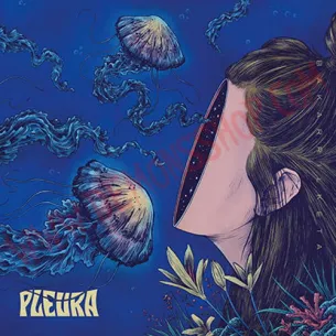 CD Pleura - Bakarrilketa