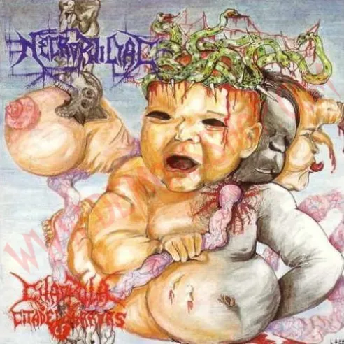 CD Necrophiliac – Chaopula. Citadel Of Mirrors