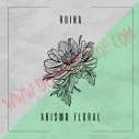 Vinilo Single Ruina - Abismo floral - Demons Punk Records - Ruina
