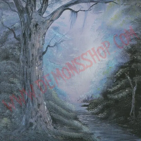CD Algol – Entering The Woods Of Enchantment