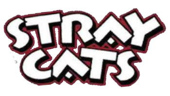 Stray Cats