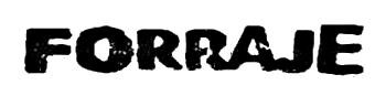 Forraje