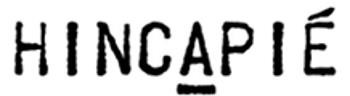 Hincapie